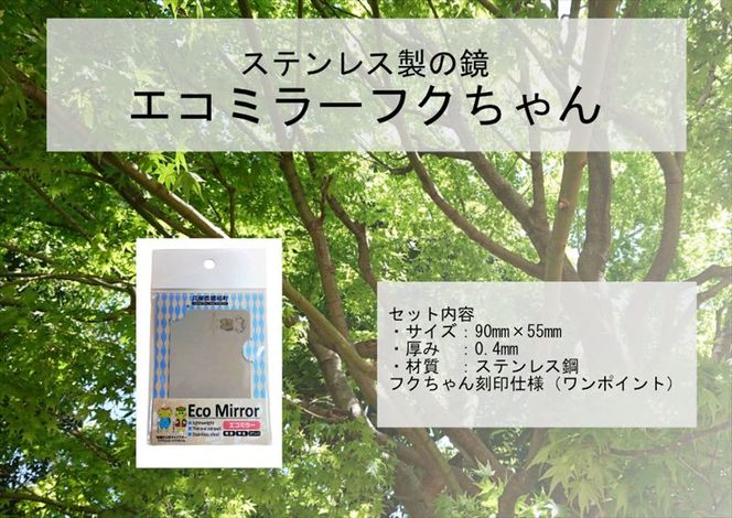 yɌ蒬zEco Mirror@ӂ
