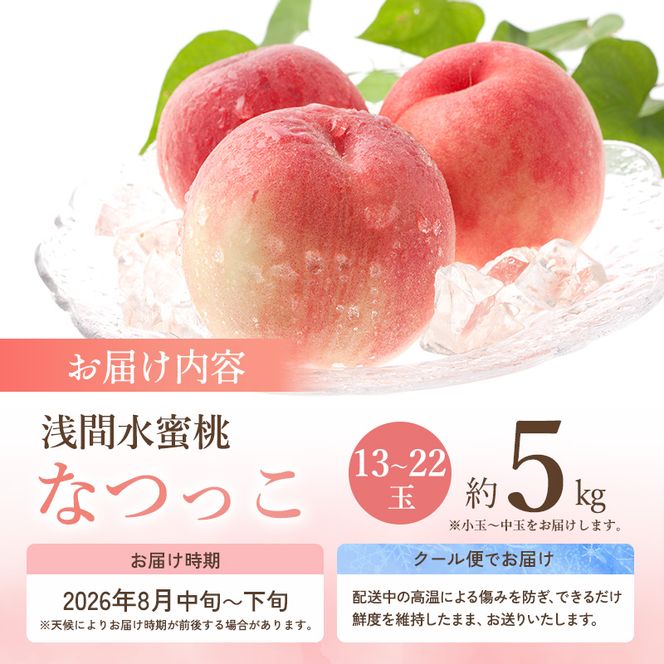 【オンライン決済限定】【2026年8月中旬～発送予定】 桃 先行予約 浅間水蜜桃 なつっこ 約5kg 秀品 13～22玉 贈答品 フルーツ 果物 白桃 甘い 冷蔵