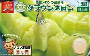 【10ヶ月定期便】クラウンメロン（白上級）1玉入 メロン デザート グルメ 果物 フルーツ 季節の果物 スイーツ 袋井市 静岡県