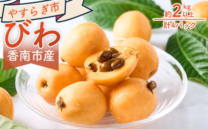 びわ ４パック 約2000ｇ （1パックあたり10～15個入） 香南市産 - 国産 香南市産 フルーツ 果物 果実 青果 ビワ 枇杷 山の幸 山の恵み 甘い やすらぎ市 高知県 香南市 yr-0117