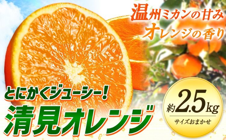 [先行予約]とにかくジューシー 清見 オレンジ 2.5kg 株式会社魚鶴商店[2026年3月下旬-4月中旬頃出荷]和歌山県 日高町 柑橘 果物 フルーツ 清見オレンジ---wsh_uot134_3g4c_25_10000_2500g---