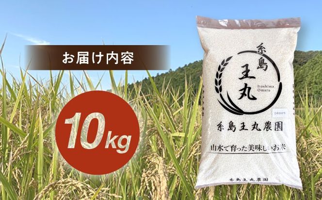【令和7年産】糸島産 ヒノヒカリ 10kg 糸島市 / 糸島王丸農園 ( 谷口汰一 )【いとしまごころ】[AAZ014]