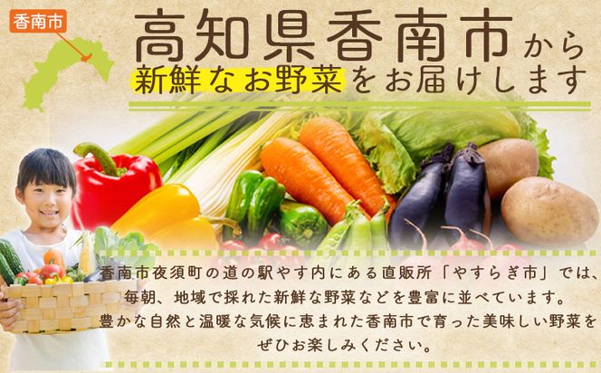 【2025年11月末以降発送】ブロッコリー １ｋｇ 家庭用 yr-0086