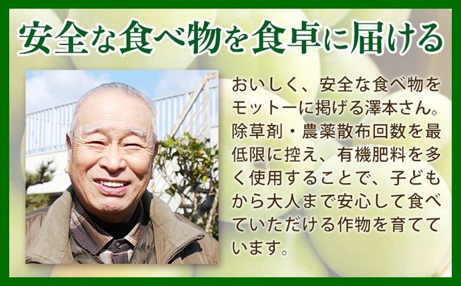 紀州熟南高梅 約2kg 選べるサイズ M ~ 大玉 4L 《2027年6月上旬-6月中旬頃出荷》 和歌山県 日高川町 梅 紀州南高梅 うめ フルーツ 果物---wshg_frsa1_a6_23_18000_2kg---