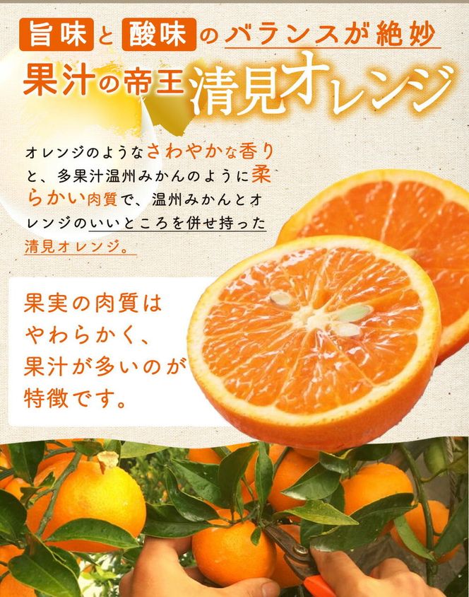 主井農園 高級 清見オレンジ 約2kg サイズ混合_ZS6156