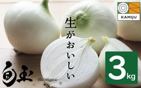 【5/31まで受付】(2027年発送)≪『満天☆青空レストラン』で紹介されました！≫【お試し】新玉ねぎ 生がおいしい 神重農産のブランド玉ねぎ「旬玉」3kg ブランド玉ねぎ 玉ねぎ 国産 愛知県産 野菜 やさい 農家直送 畑直送 旬 期間限定 たまねぎ 旬 特産 高評価 高リピート 人気 H105-262