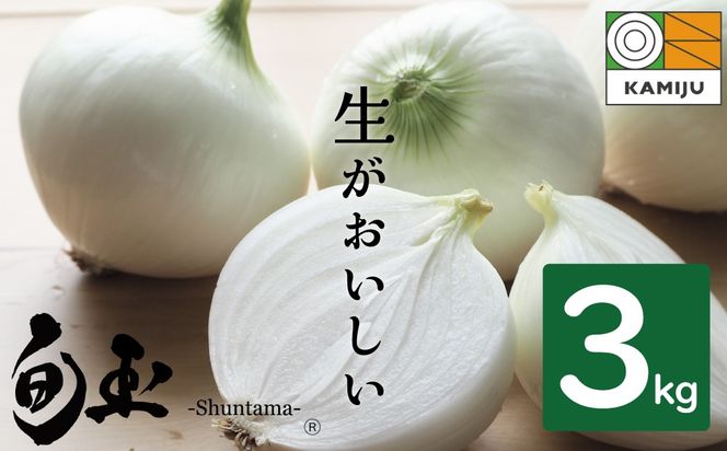 【5/31まで受付】(2027年発送)≪『満天☆青空レストラン』で紹介されました！≫【お試し】新玉ねぎ 生がおいしい 神重農産のブランド玉ねぎ「旬玉」3kg ブランド玉ねぎ 玉ねぎ 国産 愛知県産 野菜 やさい 農家直送 畑直送 旬 期間限定 たまねぎ 旬 特産 高評価 高リピート 人気 H105-262