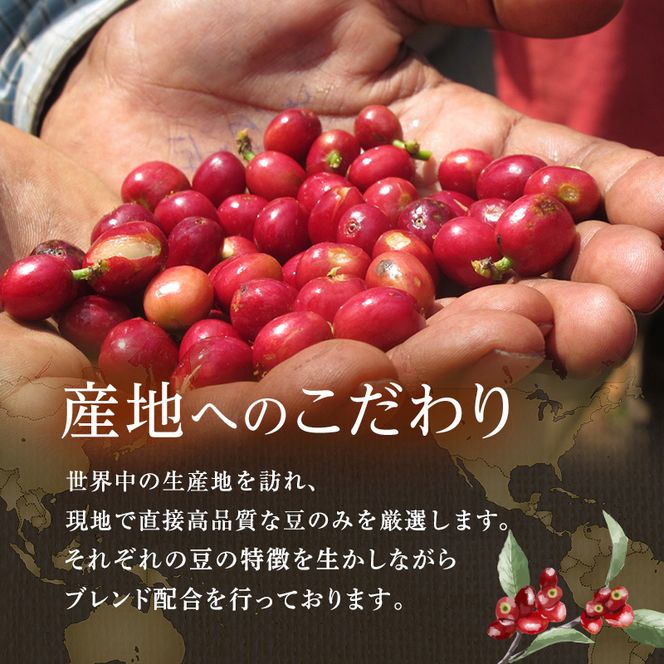 コーヒー 丸山珈琲 スペシャルティコーヒー＆ドリップバッグセット（粉） コーヒー粉 珈琲 飲料 ドリップコーヒー オリジナル ブレンド 小諸ブレンド 