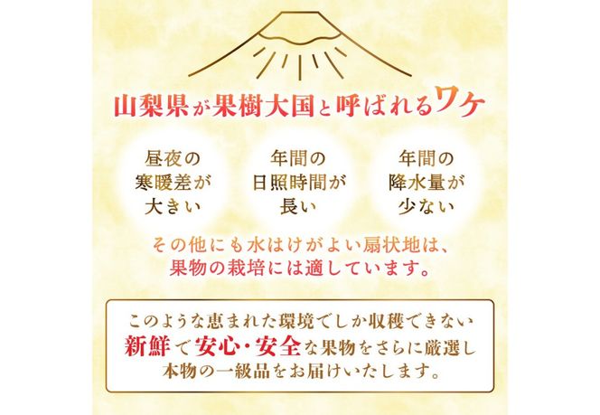 【2025年先行予約】【 定期便 】 厳選 旬のフルーツ定期便 シャインマスカット 桃 黒ぶどう 果物 フルーツ くだもの 旬 もも ぶどう 高級 山梨 富士吉田 フルーツ 富士吉田市