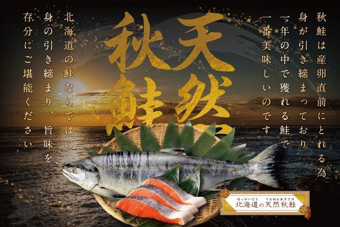 【訳あり】秋鮭ドンっ！無塩 秋鮭 切り身 1.5kg 【KN000PB06】