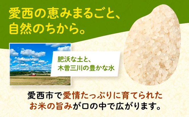 米粉パスタ 白米 140g×5袋 お米 パスタ グルテンフリー 愛西市 / 株式会社TONORI[AECT031]