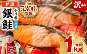【訳あり】 銀鮭 切り身 たっぷり合計 1kg （鮭 塩鮭 サケ サーモン 甘塩 切身 切り身 大容量 人気の鮭 カマ 希少 魚 鮮魚 冷凍）