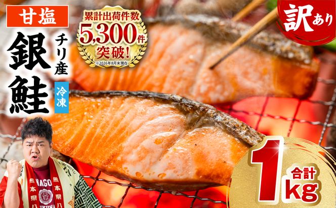 【訳あり】 銀鮭 切り身 たっぷり合計 1kg （鮭 塩鮭 サケ サーモン 甘塩 切身 切り身 大容量 人気の鮭 カマ 希少 魚 鮮魚 冷凍）