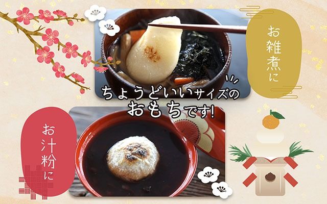 梅木もち屋 庄内産『でわのもち』を使用した杵つき餅 380g×5袋 1.9kg 柔らかくよく伸びる 丸もち お雑煮 正月 丸餅 おもち 個包装