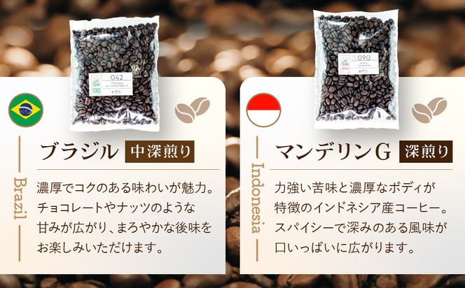 [豆]コーヒー豆 100g×6種類セット 合計600g 注文後焙煎 272183_BG426