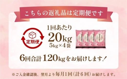 【1ヶ月毎6回定期便】 はるかおり 20kg 計120kg ／ 米 コメ お米 ライス ご飯 ごはん 飯 食品 精米 定期便 常温 福岡県 香春町