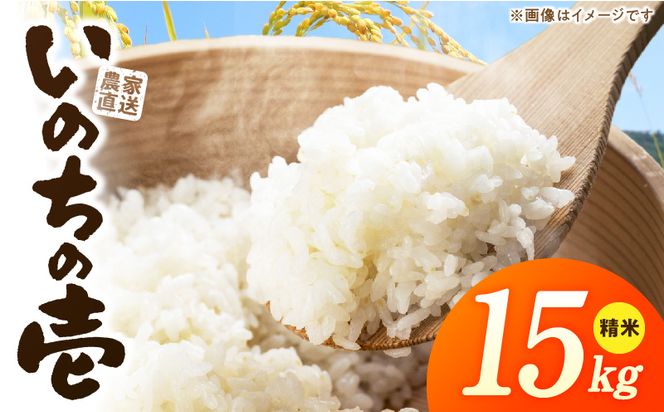 R7年産　「いのちの壱」（15kg）＜農家直送＞ ［208K11］ 希少米 15kg 米 精米 白米 ご飯 国産 産地直送 甘い 粘り強い もちもち お取り寄せ こだわり米 愛知県 小牧市 送料無料