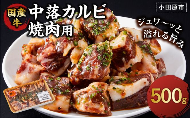 国産牛中落カルビ焼肉用500g【 肉 国産  神奈川県 小田原市 】 142069_AG034