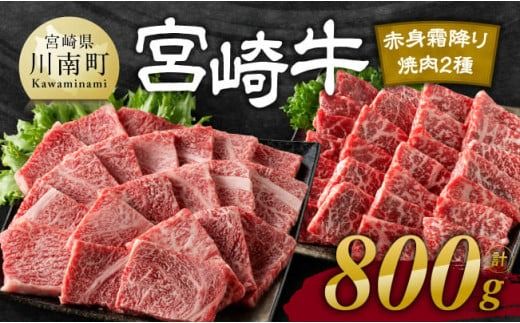 ※発送時期が選べる※宮崎牛赤身霜降り焼肉2種 800g [ 肉 牛肉 国産 宮崎県産 宮崎牛 黒毛和牛 和牛 焼肉 BBQ 4等級 A4ランク 肩ロース ウデ モモ ] [E11124]