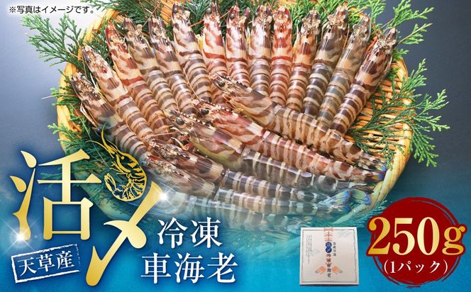 yF{VszVY YⓀ ԊCV 250gij6`7 Ԃ ԃGr  CV Gr Ⓚ Y F{ Vsy2025N11{Jnz