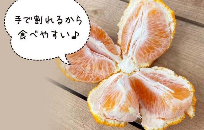 不知火 訳あり それでも 有田の不知火 箱込 2.5kg (内容量約 2.3kg) サイズミックス 和歌山県産 産地直送 【みかんの会】	AX145