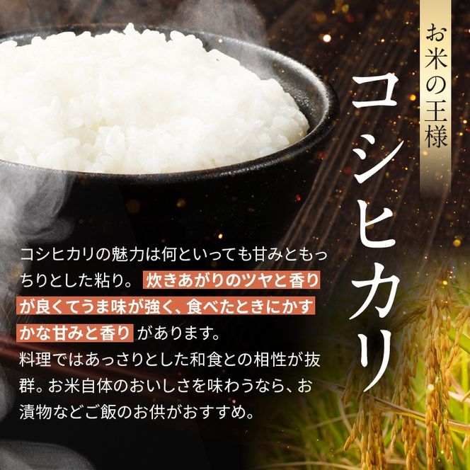 令和8年産 伊那市産 こしひかり 10kg(5kg×2袋）｜ 米 コシヒカリ こしひかり 白米 ご飯 お米 伊那 伊那産 長野県 ふるさと納税【021-58】
