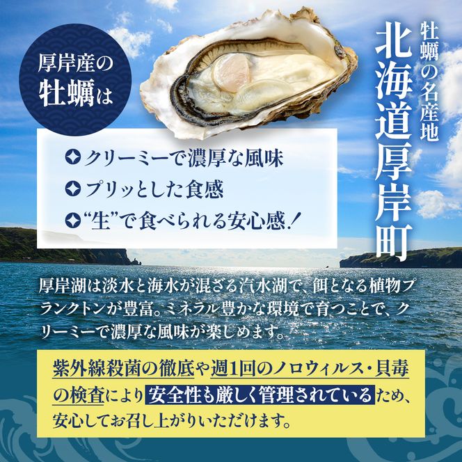 牡蠣 北海道厚岸産 かきの 塩辛 3本 (1本あたり100g×3本,合計300g) 生食 むき身 生牡蠣 貝 海鮮 おつまみ つまみ 魚介類 加工食品 