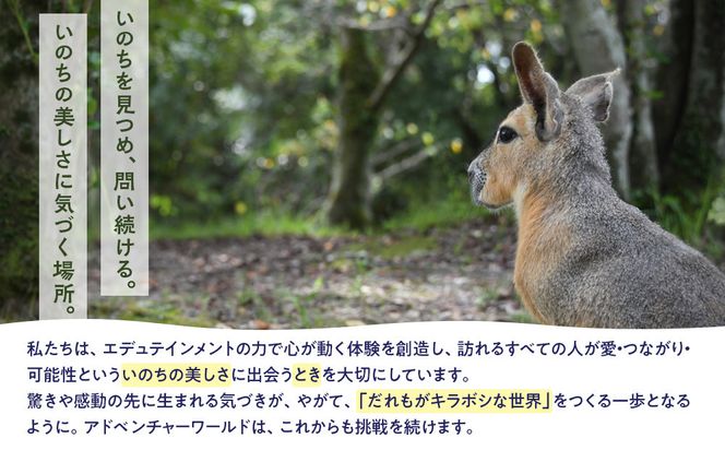 白浜町ふるさと納税 アドベンチャーワールド入園引換券 子どもチケット（18歳未満） 1枚 304018_DU002