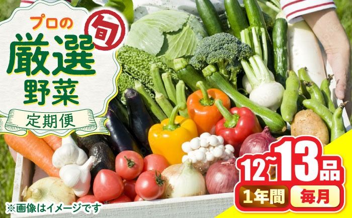 [12回定期便]野菜のプロが選ぶ 旬の野菜セット 12〜13品目 野菜定期便 / 野菜 やさい セット 新鮮 / 南島原市 / 愛2農園