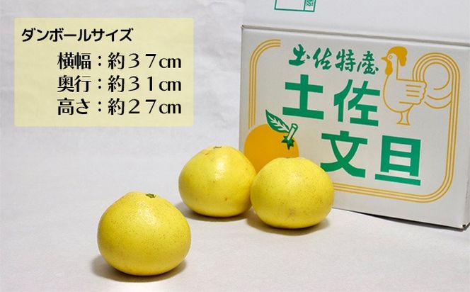 土佐文旦家庭用10Kｇ（池上果樹園）