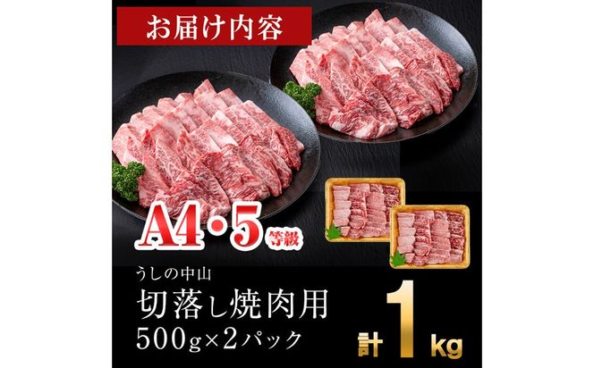 ＜A4・A5等級＞鹿児島県産黒毛和牛 うしの中山 切り落とし焼肉用 計1kg(500g×2P) c4-015