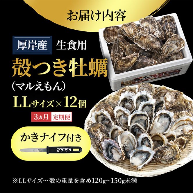 【 3ヵ月 定期便 】 北海道厚岸産 生食用 殻付カキ LLサイズ  12個　マルえもん 魚貝類 海の幸 海のミルク 海鮮 国産 北海道産 オイスター つまみ お酒 あて 肴 生牡蠣 メルマガ掲載商品1
