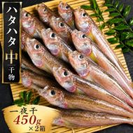 ハタハタ（中）干物 一夜干し 450g ×2箱 魚貝類 海鮮 干物 おつまみ 肴 ハタハタ 酒  myz02 myz11 myz17