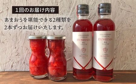 【全6回定期便】あまおう コンポート ・ 飲む あまおう酢 各2本 セット 糸島市 / TANNAL 磯本農園 / いちご イチゴ 苺 [ATB031]