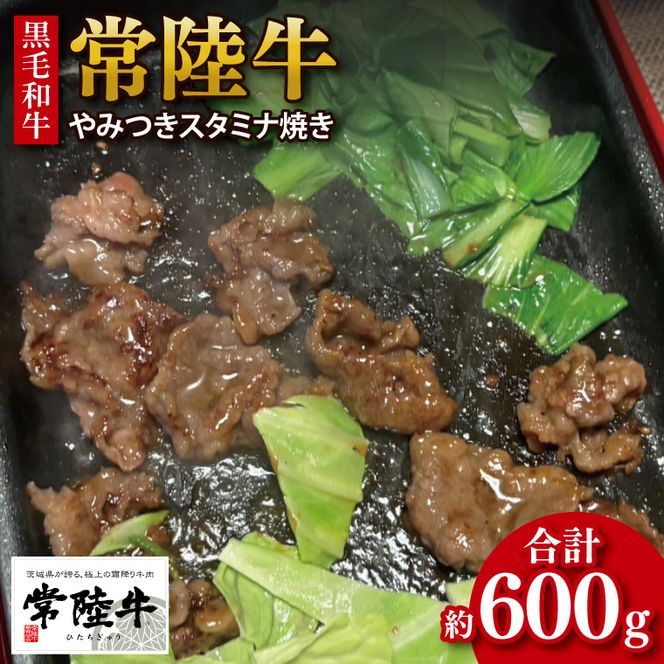 【数量限定】【最短7日発送】黒毛和牛 常陸牛 やみつきスタミナ焼 約300g×2パック｜肉 牛肉 和牛 国産 茨城県産 すぐ 届く(HI-2)