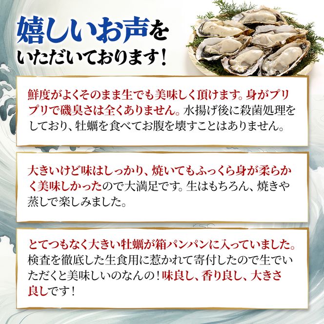 牡蠣 厚岸のブランド牡蠣 マルえもん Lサイズ 6個 生食用 魚貝類 海鮮 海のミルク 国産 生食用殻付き牡蠣 まろやか クリーミー 食べやすい品種 海の香り 牡蠣の酒蒸し 焼き牡蠣 マルえもん