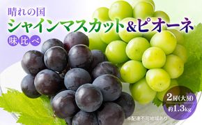 2026年 早期受付 ぶどう 晴れの国 シャインマスカット&ピオーネ 味比べ 2房（大房） 化粧箱入り 岡山県 高梁市 ブドウ 葡萄 果物 フルーツ 
