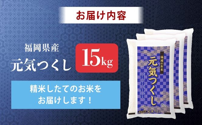 令和7年産　福岡県　元気つくし　15kg（5kg×3袋）《築上町》【カネガエ】[ABFA006]