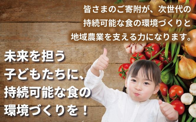 ON0052 【返礼品なし】SDGs持続可能な食の環境づくり！オーガニック給食と地産地消 推進応援寄附（大阪府泉佐野市）