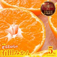 【2026年先行予約】みかん 大玉 どっこいしょ 箱込 5kg ( 内容量 4.4kg ) 2Lサイズ以上 秀品 優品 混合 有田みかん 和歌山県産 産地直送 【みかんの会】_MK1033