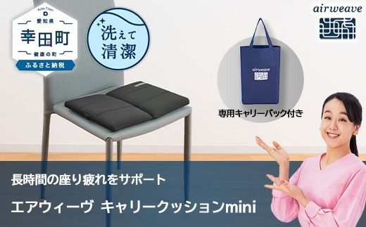 エアウィーヴ キャリークッションmini | airweave おすすめ