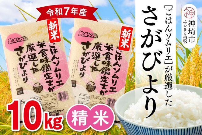 yꌧ_szyߘa7NY Vāz͂\GI  т 10kgy_sY     10kg 5kg×2 т uh HӒmz(H063145)