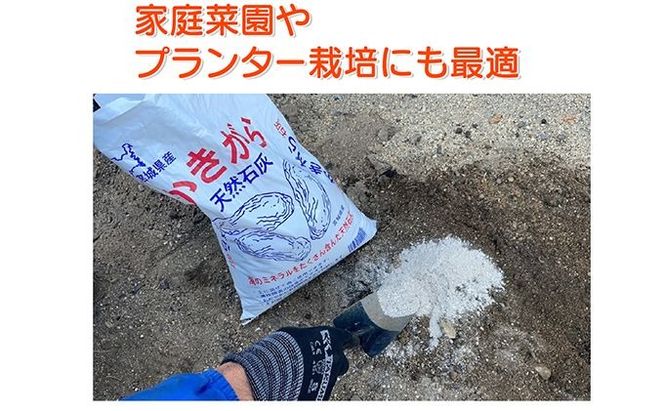 かきがら石灰 5kg 天然牡蠣殻使用 家庭菜園 ガーデニング 園芸 肥料