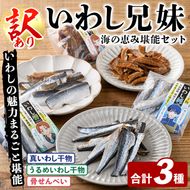 訳あり！いわし兄妹(3種・いわし純/いわし響/いわし粋) 国産 鹿児島県産 阿久根市産 魚 魚介 水産 訳あり 訳アリ イワシ 鰯 真いわし マイワシ うるめいわし ウルメイワシ 骨せんべい 干物 おつまみ おやつ 冷凍 【鈴木海産】akn091-07