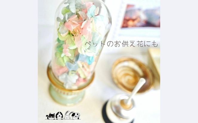 パステル紫陽花のお供え花　優しい色のあじさい プリザーブドフラワー 仏花 ガラスドーム パステルカラー 紫陽花 プリザーブド 仏壇 フューネラル ギフト 家族 ペット パール ピンク お供え ご供花 雑貨