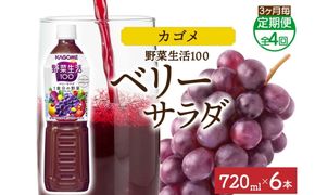 ns038-075　【定期便】3ヵ月毎全4回野菜生活100 ベリーサラダ 720mlPET