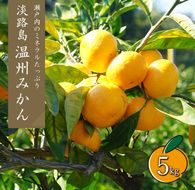 温州みかん　5kg　サイズ色々Ｓ・Ｍ・Ｌミックス