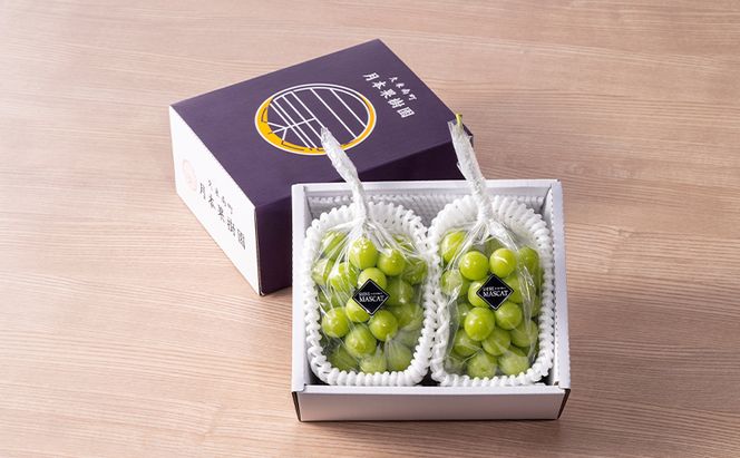 【2026年先行予約】 ぶどう 岡山県産 シャインマスカット 1kg箱（2～3房） 《2026年10月中旬-11月下旬頃出荷》 葡萄 ブドウフルーツ 果物 スイーツ 数量限定 期間限定 岡山 里庄町 ブドウ ぶどう