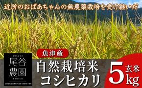 【早期予約】【9ヶ月定期便】【令和8年度産米】尾谷農園 自然栽培米コシヒカリ 玄米5kg ※2026年10月～発送