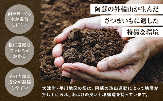 焼き芋 冷凍 焼きいも 800g 鞍岳農産 《30日以内に出荷予定(土日祝除く)》 熊本県 大津町 芋 さつまいも 焼き芋 アイス 甘い 冷凍 クール ホクホク 秋 旬 紅はるか 焼き芋 小分け スイーツ 冷やし焼き芋 長期保存 おやつ 間食 国産 熊本県産 大津町産---oz_kgn_1_800g---